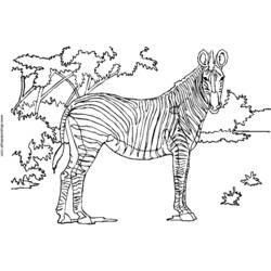Malvorlage: Zebra (Tiere) #13041 - Kostenlose Malvorlagen zum Ausdrucken