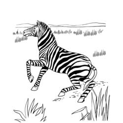 Malvorlage: Zebra (Tiere) #13053 - Kostenlose Malvorlagen zum Ausdrucken