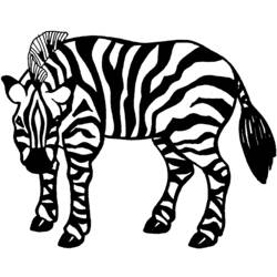 Malvorlage: Zebra (Tiere) #13061 - Kostenlose Malvorlagen zum Ausdrucken