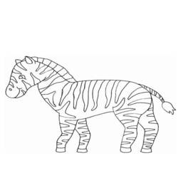 Malvorlage: Zebra (Tiere) #13065 - Kostenlose Malvorlagen zum Ausdrucken