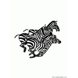 Malvorlage: Zebra (Tiere) #13067 - Kostenlose Malvorlagen zum Ausdrucken