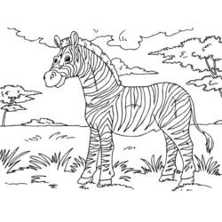 Malvorlage: Zebra (Tiere) #13087 - Kostenlose Malvorlagen zum Ausdrucken