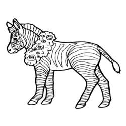 Malvorlage: Zebra (Tiere) #13097 - Kostenlose Malvorlagen zum Ausdrucken