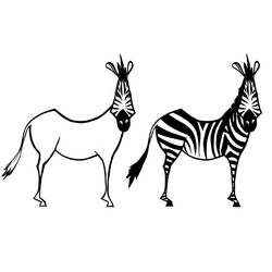 Malvorlage: Zebra (Tiere) #13101 - Kostenlose Malvorlagen zum Ausdrucken