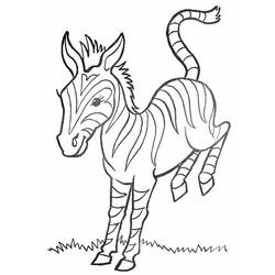 Malvorlage: Zebra (Tiere) #13105 - Kostenlose Malvorlagen zum Ausdrucken