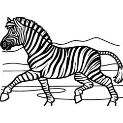 Malvorlage: Zebra (Tiere) #13120 - Kostenlose Malvorlagen zum Ausdrucken