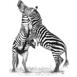 Malvorlage: Zebra (Tiere) #13122 - Kostenlose Malvorlagen zum Ausdrucken