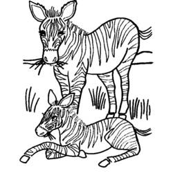 Malvorlage: Zebra (Tiere) #13130 - Kostenlose Malvorlagen zum Ausdrucken