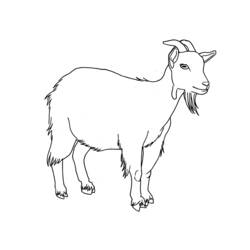 Zeichnungen zum Ausmalen: Ziege - Druckbare Malvorlagen