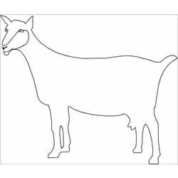 Malvorlage: Ziege (Tiere) #2489 - Kostenlose Malvorlagen zum Ausdrucken