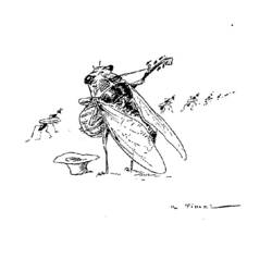 Malvorlage: Zikade (Tiere) #18485 - Kostenlose Malvorlagen zum Ausdrucken