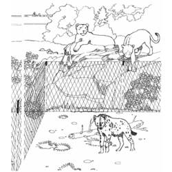 Malvorlage: Zoo (Tiere) #12653 - Kostenlose Malvorlagen zum Ausdrucken