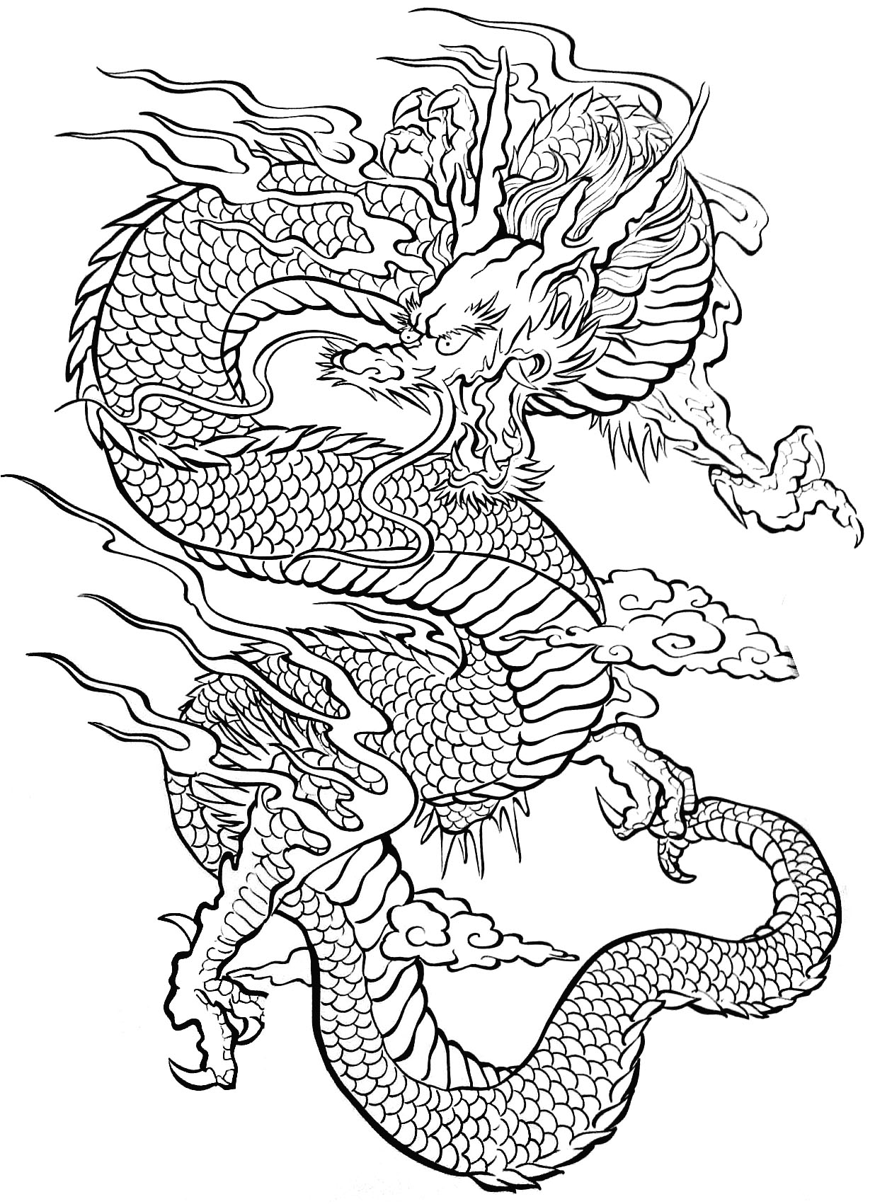 Malvorlage: Drachen (Figuren) #148394 - Kostenlose Malvorlagen zum Ausdrucken