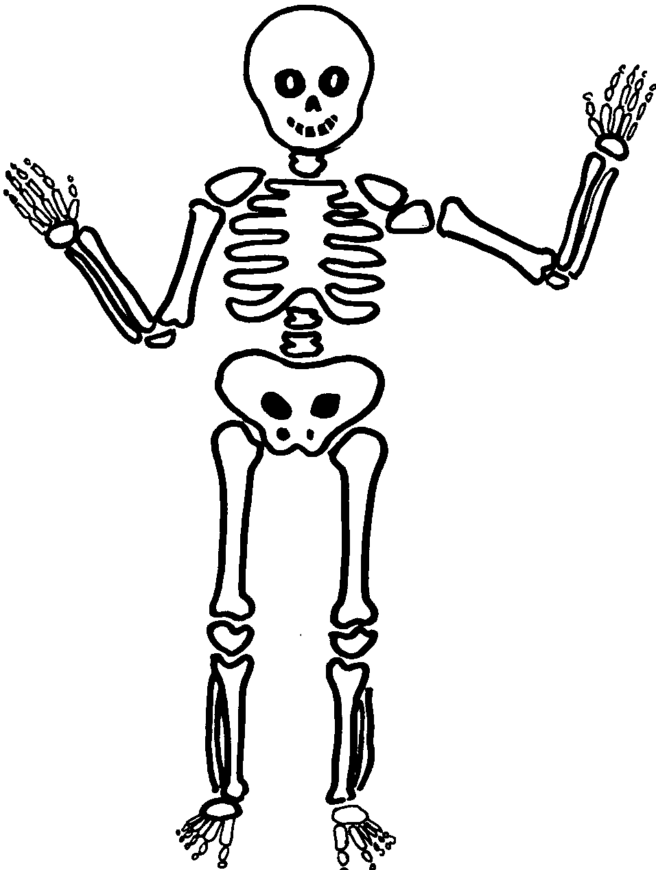 Malvorlage: Skelett (Figuren) #147408 - Kostenlose Malvorlagen zum Ausdrucken