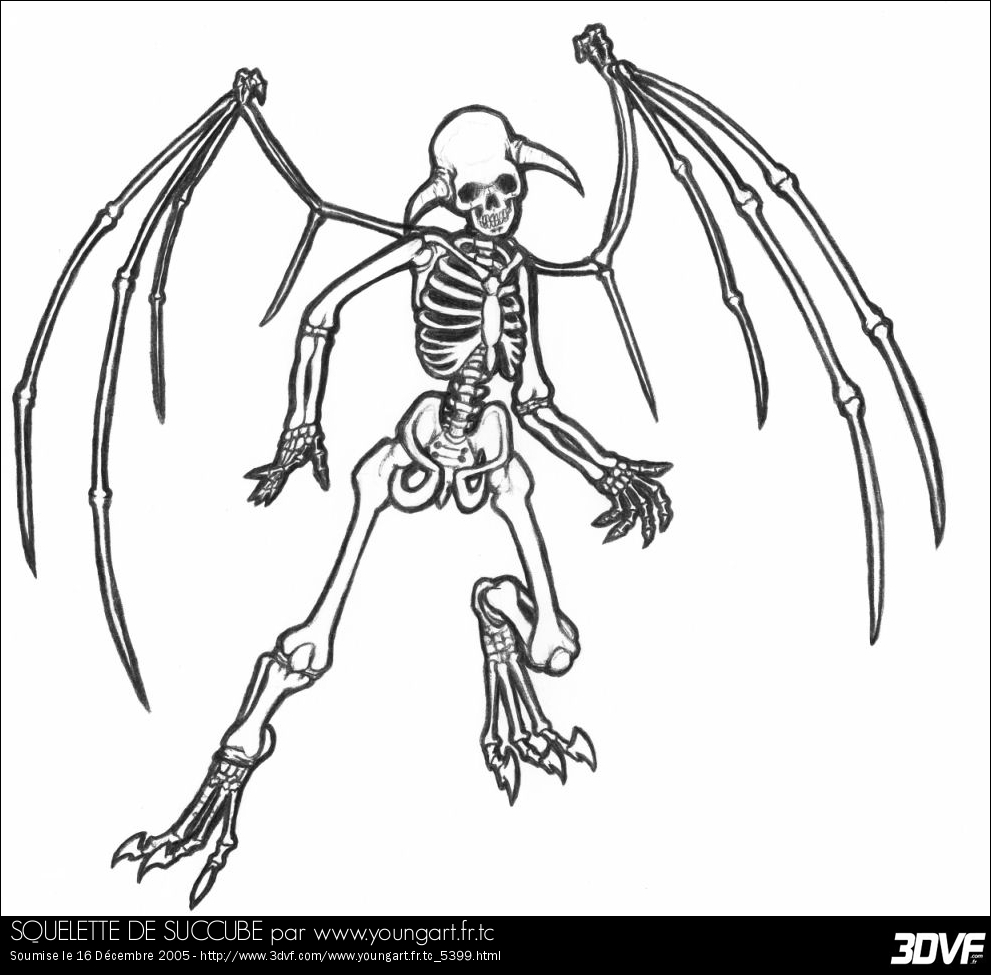 Malvorlage: Skelett (Figuren) #147426 - Kostenlose Malvorlagen zum Ausdrucken