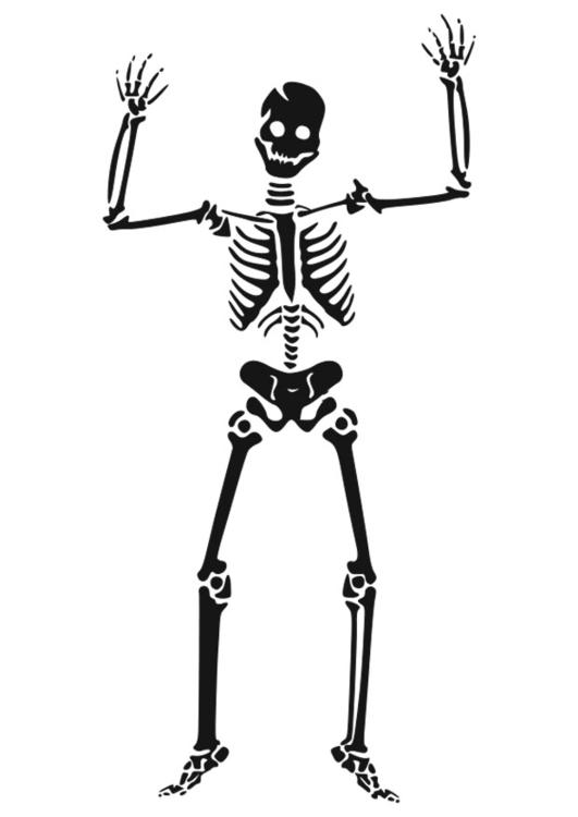 Malvorlage: Skelett (Figuren) #147441 - Kostenlose Malvorlagen zum Ausdrucken