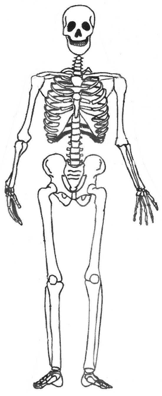 Malvorlage: Skelett (Figuren) #147444 - Kostenlose Malvorlagen zum Ausdrucken