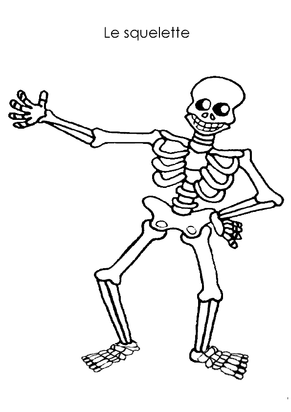 Malvorlage: Skelett (Figuren) #147454 - Kostenlose Malvorlagen zum Ausdrucken