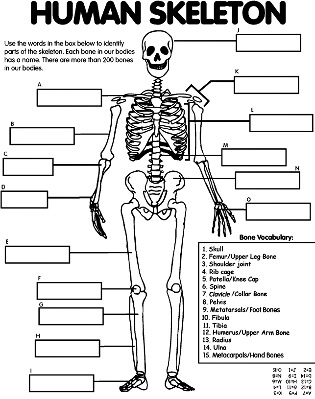 Malvorlage: Skelett (Figuren) #147475 - Kostenlose Malvorlagen zum Ausdrucken