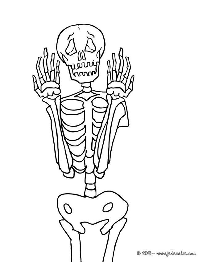 Malvorlage: Skelett (Figuren) #147485 - Kostenlose Malvorlagen zum Ausdrucken