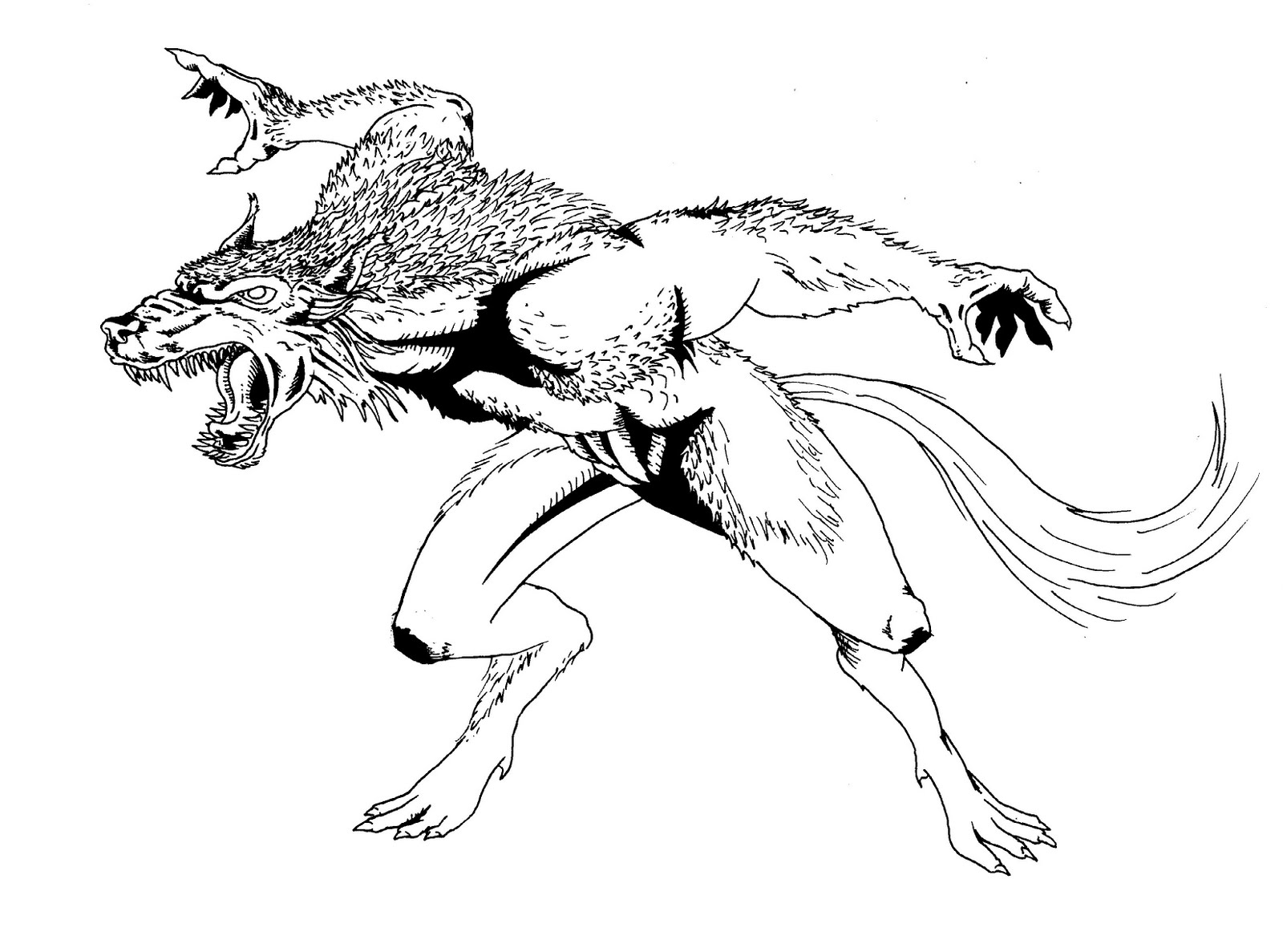 Malvorlage: Werwolf (Figuren) #100020 - Kostenlose Malvorlagen zum Ausdrucken