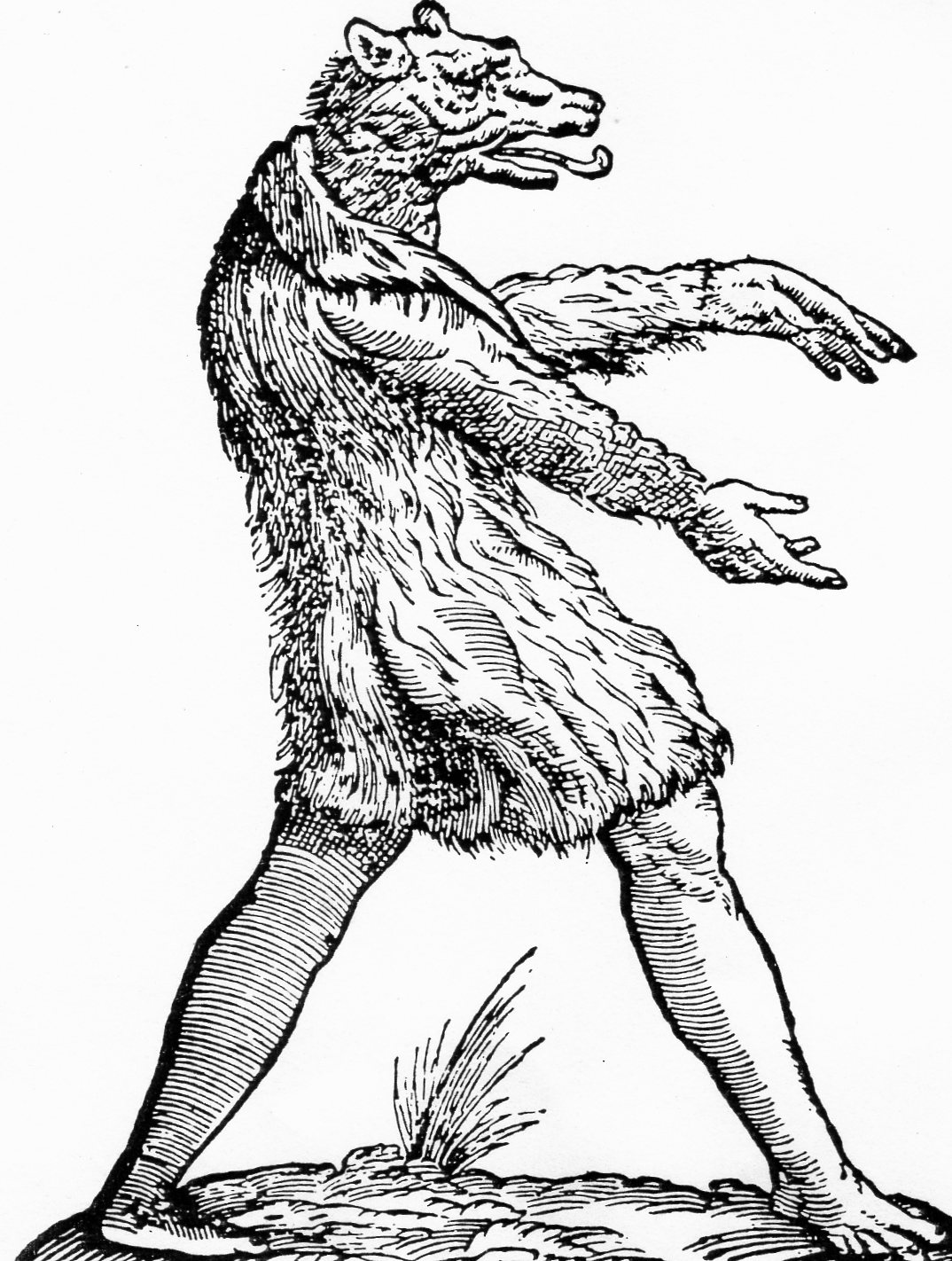 Malvorlage: Werwolf (Figuren) #100104 - Kostenlose Malvorlagen zum Ausdrucken