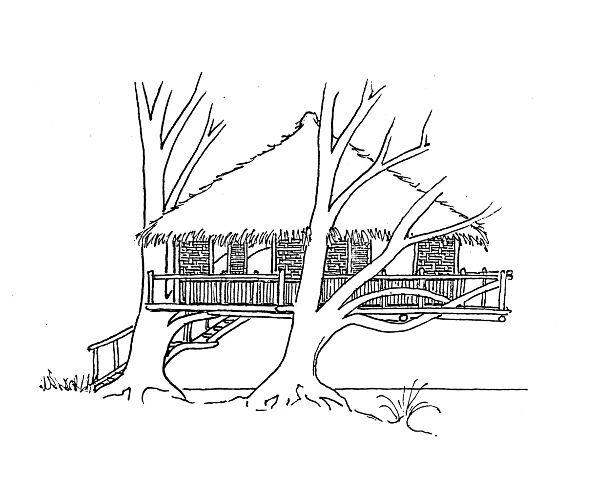 Malvorlage: Baumhaus (Gebäude und Architektur) #66040 - Kostenlose Malvorlagen zum Ausdrucken