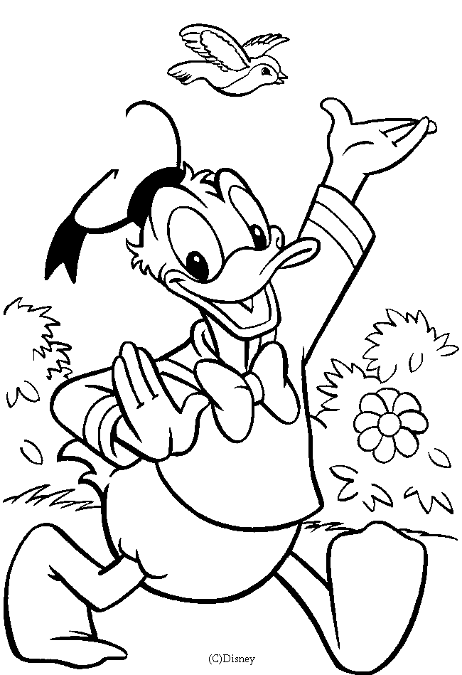 Malvorlage: Donald Duck (Karikaturen) #30159 - Kostenlose Malvorlagen zum Ausdrucken