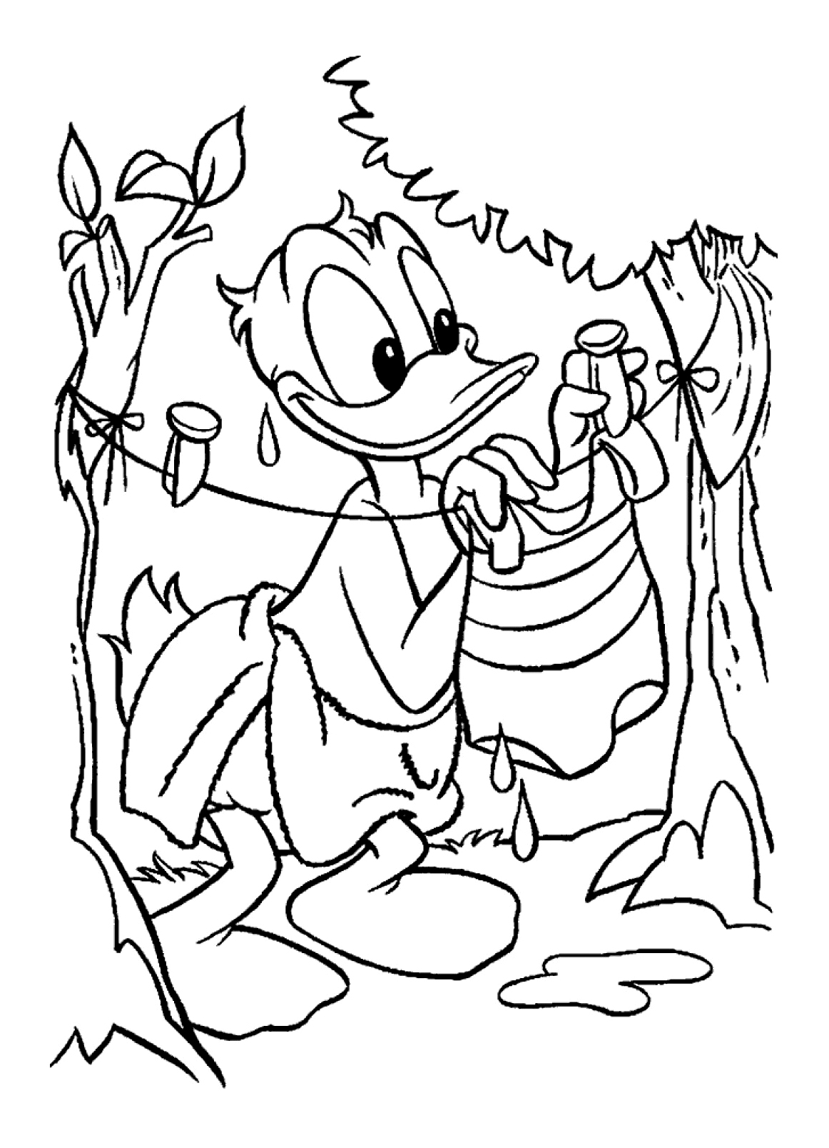 Malvorlage: Donald Duck (Karikaturen) #30379 - Kostenlose Malvorlagen zum Ausdrucken