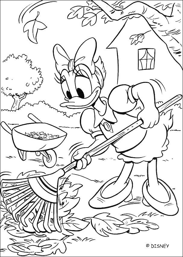 Malvorlage: Donald Duck (Karikaturen) #30451 - Kostenlose Malvorlagen zum Ausdrucken