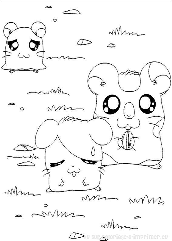 Malvorlage: Hamtaro (Karikaturen) #40188 - Kostenlose Malvorlagen zum Ausdrucken