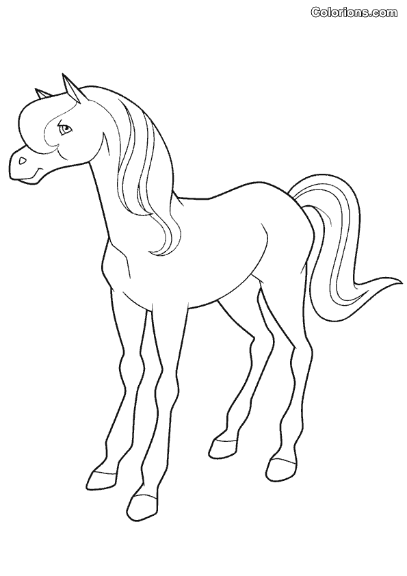 Malvorlage: Pferdeland (Karikaturen) #53798 - Kostenlose Malvorlagen zum Ausdrucken