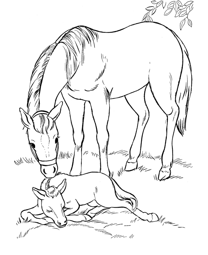 Malvorlage: Pferdeland (Karikaturen) #53922 - Kostenlose Malvorlagen zum Ausdrucken