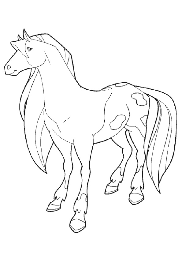 Malvorlage: Pferdeland (Karikaturen) #53944 - Kostenlose Malvorlagen zum Ausdrucken