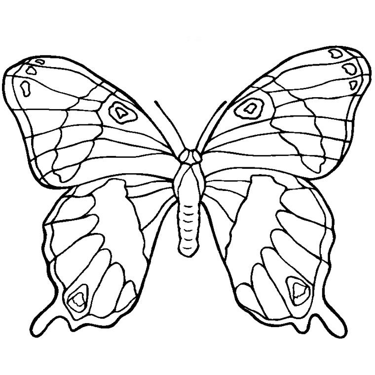 Malvorlage: Schmetterlings-Mandalas (Mandalas) #117396 - Kostenlose Malvorlagen zum Ausdrucken