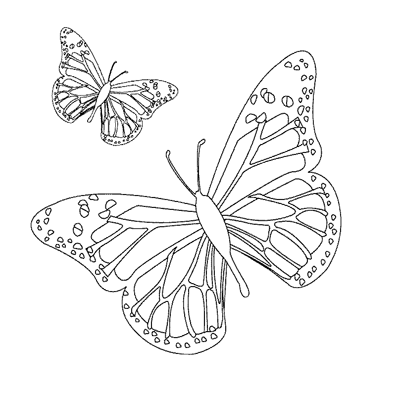 Malvorlage: Schmetterlings-Mandalas (Mandalas) #117410 - Kostenlose Malvorlagen zum Ausdrucken