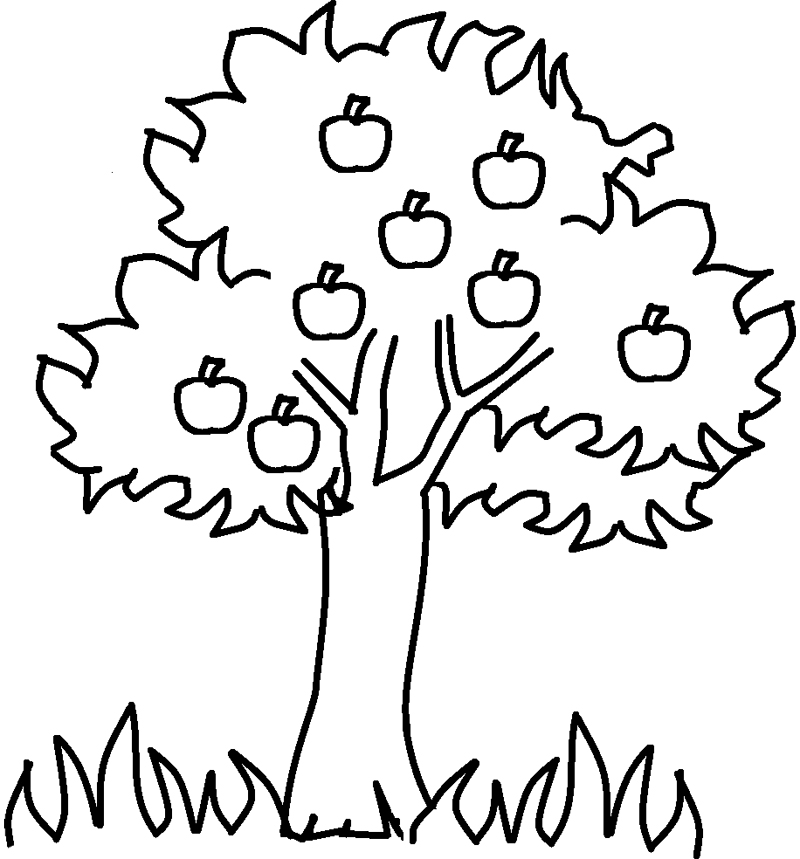 Malvorlage: Apfelbaum (Natur und Jahreszeiten) #163738 - Kostenlose Malvorlagen zum Ausdrucken