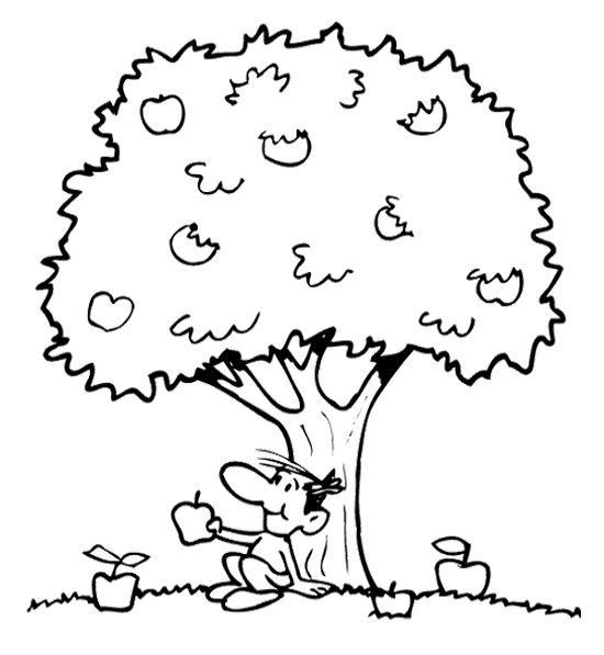 Malvorlage: Apfelbaum (Natur und Jahreszeiten) #163777 - Kostenlose Malvorlagen zum Ausdrucken