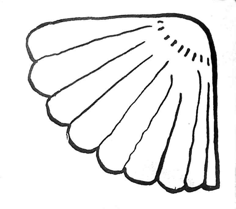 Malvorlage: Muschel (Natur und Jahreszeiten) #163147 - Kostenlose Malvorlagen zum Ausdrucken