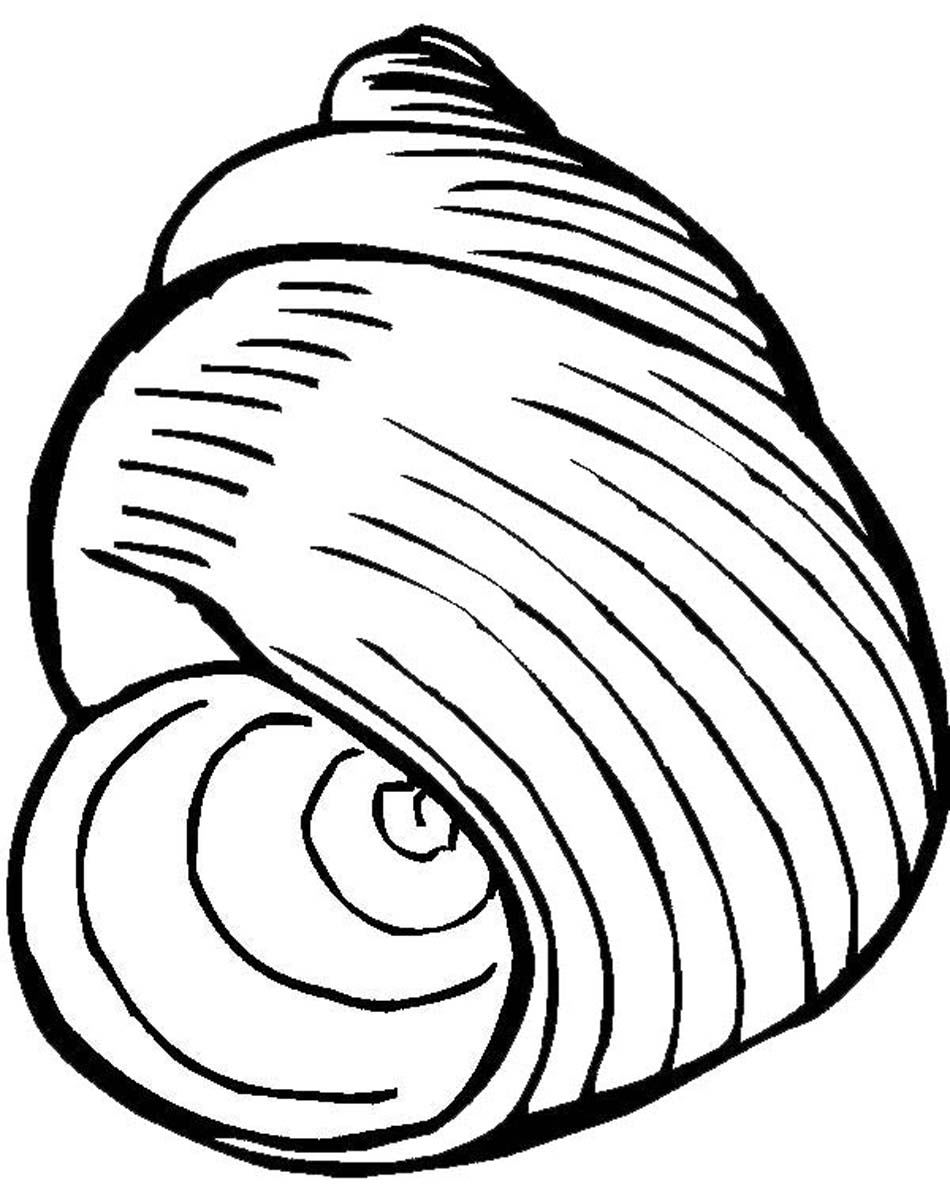 Malvorlage: Muschel (Natur und Jahreszeiten) #163165 - Kostenlose Malvorlagen zum Ausdrucken