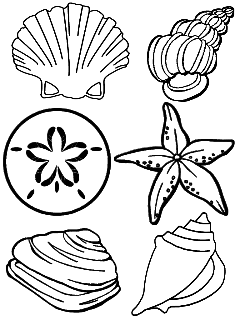 Malvorlage: Muschel (Natur und Jahreszeiten) #163170 - Kostenlose Malvorlagen zum Ausdrucken