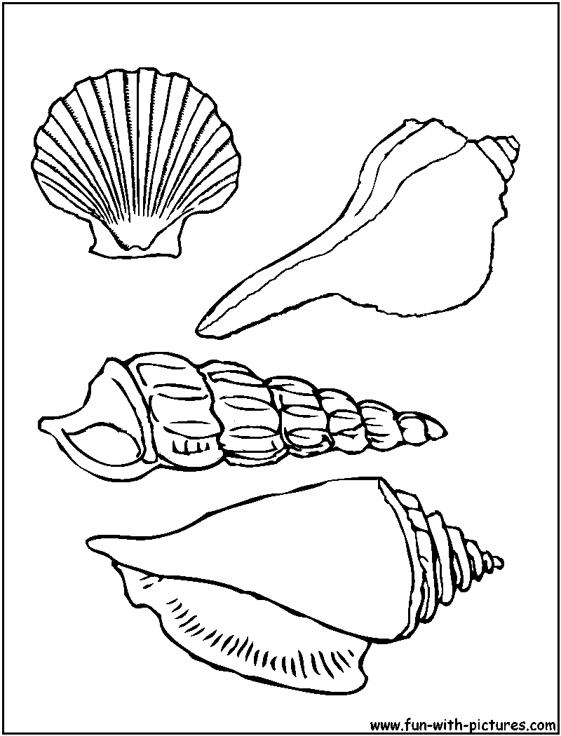Malvorlage: Muschel (Natur und Jahreszeiten) #163174 - Kostenlose Malvorlagen zum Ausdrucken