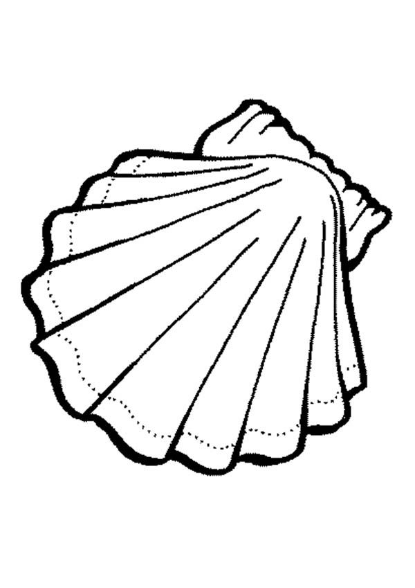 Malvorlage: Muschel (Natur und Jahreszeiten) #163203 - Kostenlose Malvorlagen zum Ausdrucken