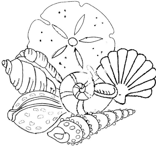 Malvorlage: Muschel (Natur und Jahreszeiten) #163363 - Kostenlose Malvorlagen zum Ausdrucken