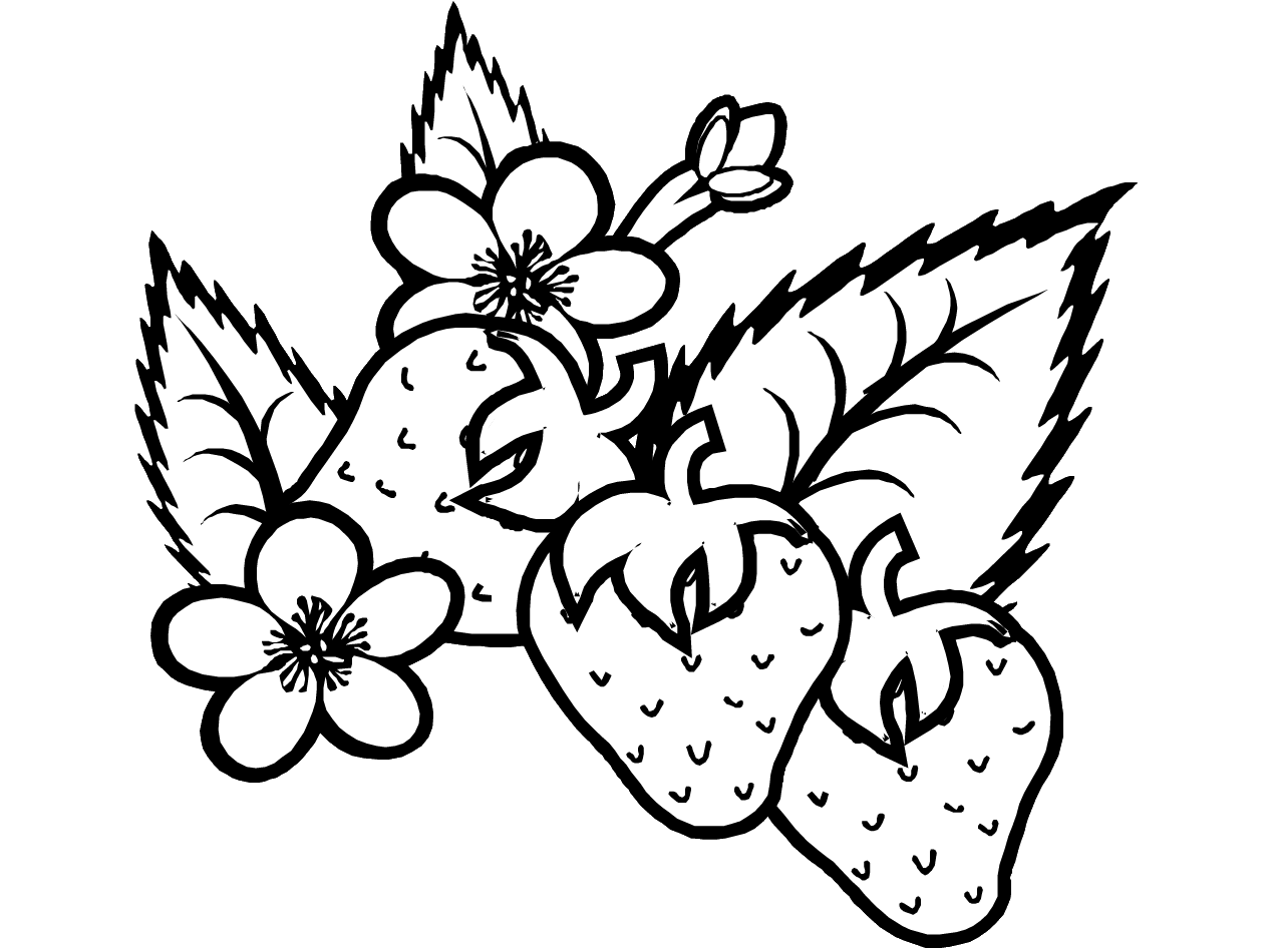 Malvorlage: Sommer (Natur und Jahreszeiten) #165116 - Kostenlose Malvorlagen zum Ausdrucken