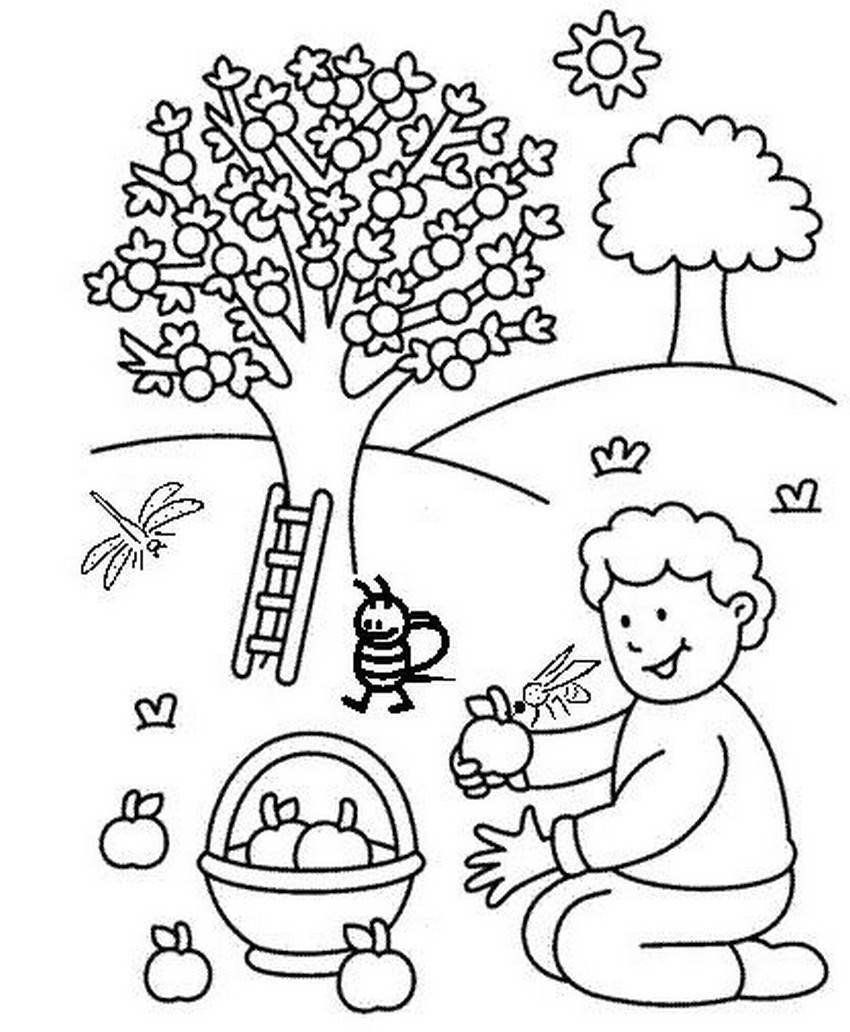 Malvorlage: Apfelbaum (Natur) #163445 - Kostenlose Malvorlagen zum Ausdrucken