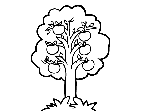 Malvorlage: Apfelbaum (Natur) #163492 - Kostenlose Malvorlagen zum Ausdrucken