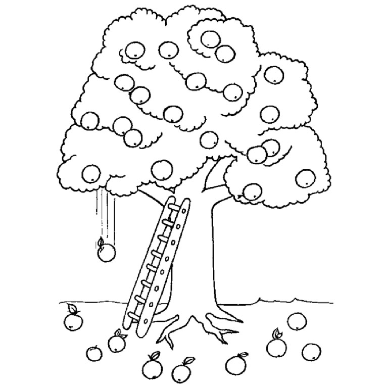 Malvorlage: Apfelbaum (Natur) #163662 - Kostenlose Malvorlagen zum Ausdrucken