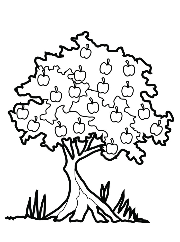 Malvorlage: Apfelbaum (Natur) #163740 - Kostenlose Malvorlagen zum Ausdrucken