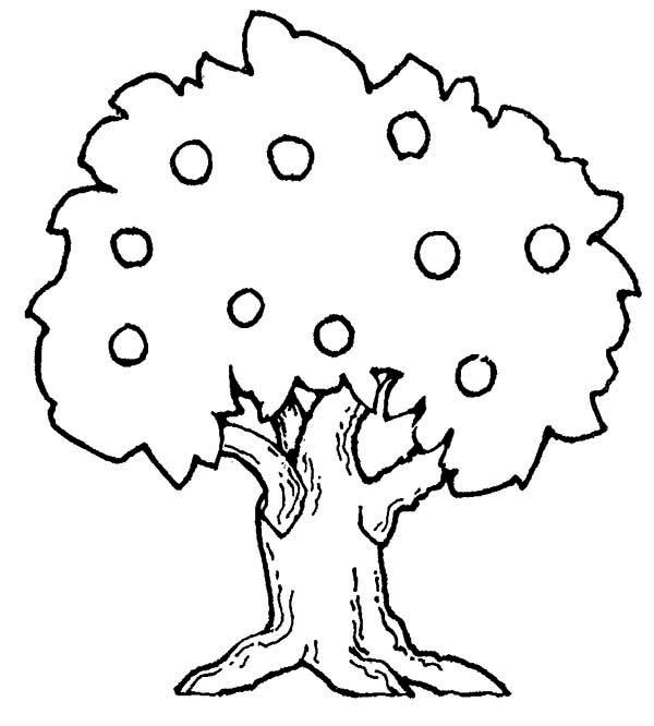 Malvorlage: Apfelbaum (Natur) #163743 - Kostenlose Malvorlagen zum Ausdrucken